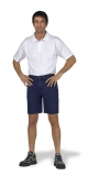 Short Form 388/488